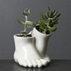 Novo Vaso de Cerâmica para Flores de Jardim Branco Criativo para Mesa Suculenta Flor Ornamento