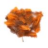 Yousheng 50Pcs Guineahen Feathers Natural Chicken Tail Feathers Bright Colors 4.5-10cm Feathers for Crafts DIY Earrings Dream Catcher Wedding Easter
