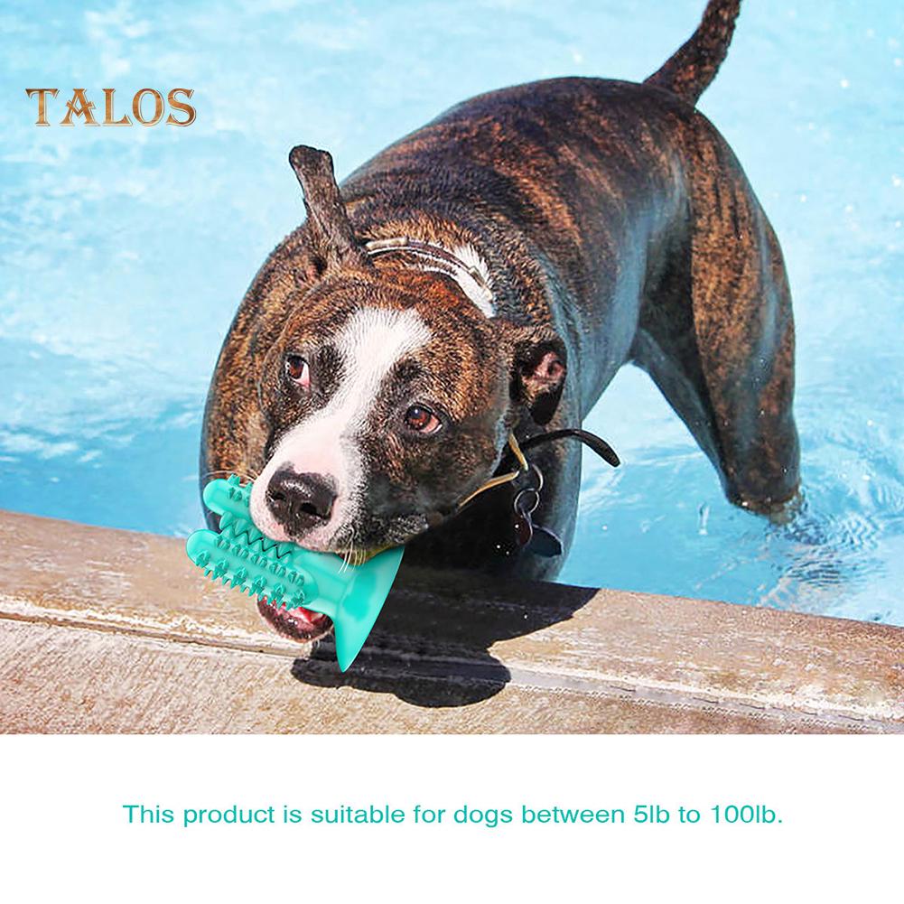 loronz dog toothbrush