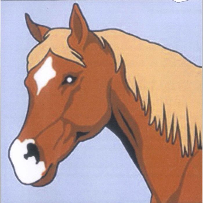 Kit canevas - Seg - Soudan blanc - Cheval - 20x20cm - Idéal pour enfants