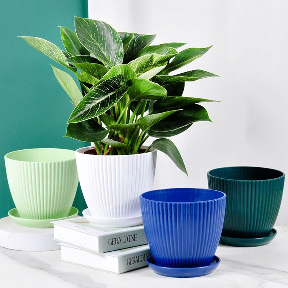 

with Tray Succulent Plant Pot Plastic Bonsai Potted Flowerpot Fashion Flower Pot Home Decoration XL світло-зелений колір