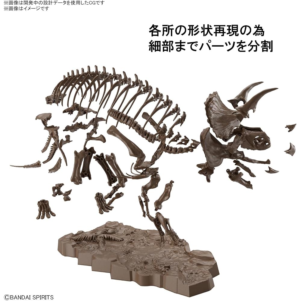 BANDAI SPIRITS (Bandai Spirits) Imaginary Skeleton (Imaginary Skeleton) Triceratops 1/32 scale pl...
