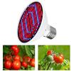 E27 Led Plant  Growth  Light Full Spectrum Led Bulb Plant Growth Light 48/60/80LED