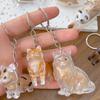 New Cat Hair Storage Keychain Bag Pendant Transparent Pet Fur Keepsake Capsule Souvenir Collection Gift Decoration Accessories
