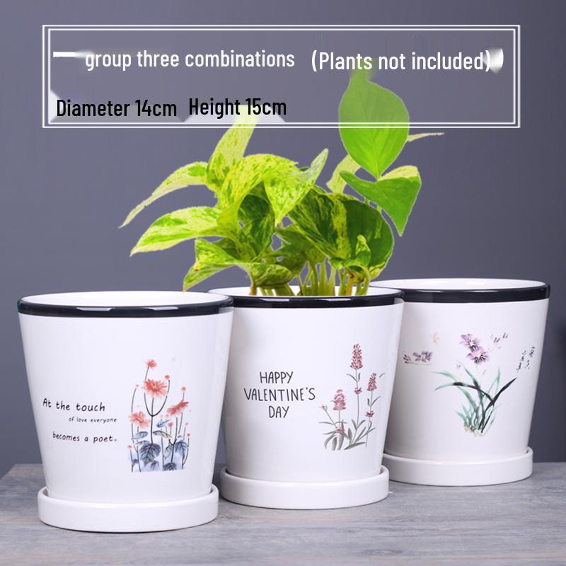 2025 Large Ceramic Flower Pot with Tray for Balcony & Living Room - Orchid & Succulent Album Style