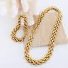 Trend Women's Bracelet Stainless Steel Thick Chain Necklace OT Buckle Gold-Plated Bracelet Luxury Wedding Zircon Set Gift