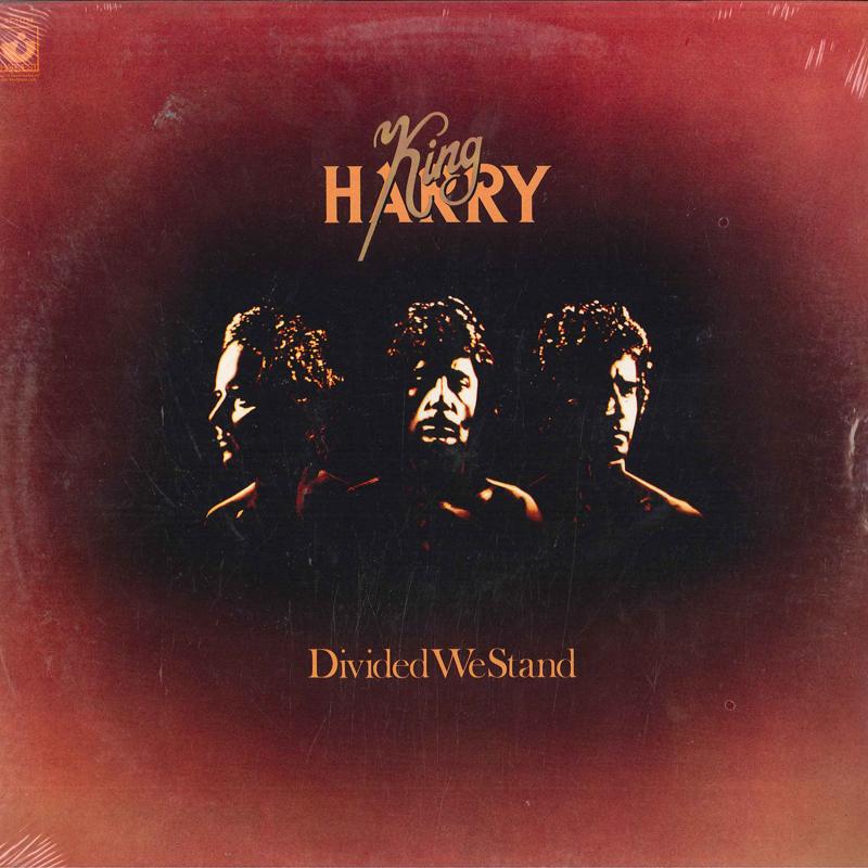 

LP Record KING HARRY - Divided We Stand ST11753 HARVEST 1977 US Rock