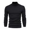 Men Turtleneck Sweater Slim Fit Knit High Neck Pullover Warm Winter Solid Color Rollneck Sweater for Daily Wear Work School Street