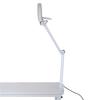 8X Illuminated Desktop Magnifying LED Lamp with Clamp Swivel Arm Reading Medical Beauty