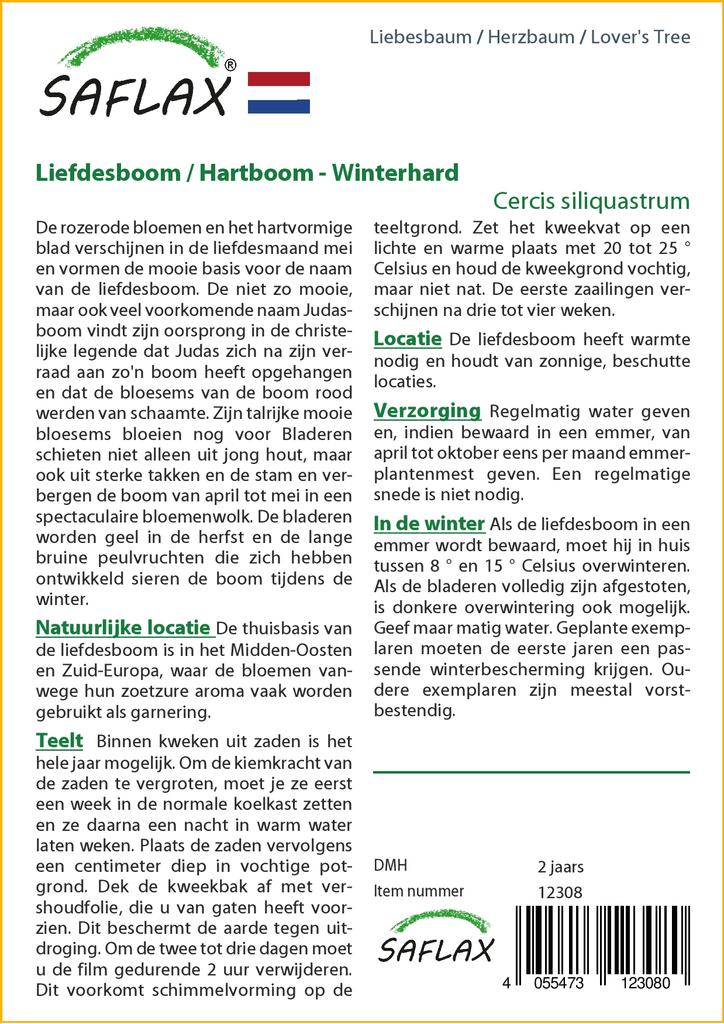 SAFLAX Ľubovníkový strom - 60 semien - Cercis siliquastrum