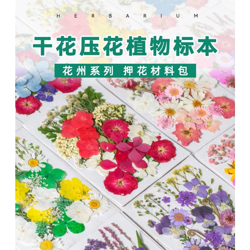 Natural Dried Flowers Pack For Diy Resin Pressed Flower Art