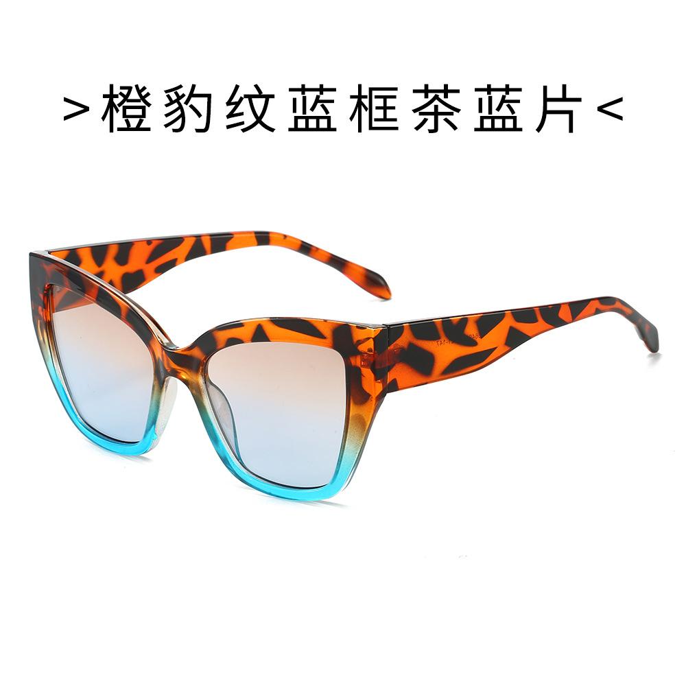 

New Retro Cat Eye Sunglasses For Women & Men Trendy Fashion Shades For Outdoor Wear Stylish Sun Protection