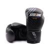 Gants de Boxe StormCloud Lynx Noir/Gris 8oz