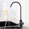 TLXT Kitchen Sink Direct Drink Water Purifier Faucet