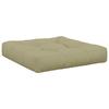 1 Piece Seat Cushion VIANEN 100percent Polyester Light Green