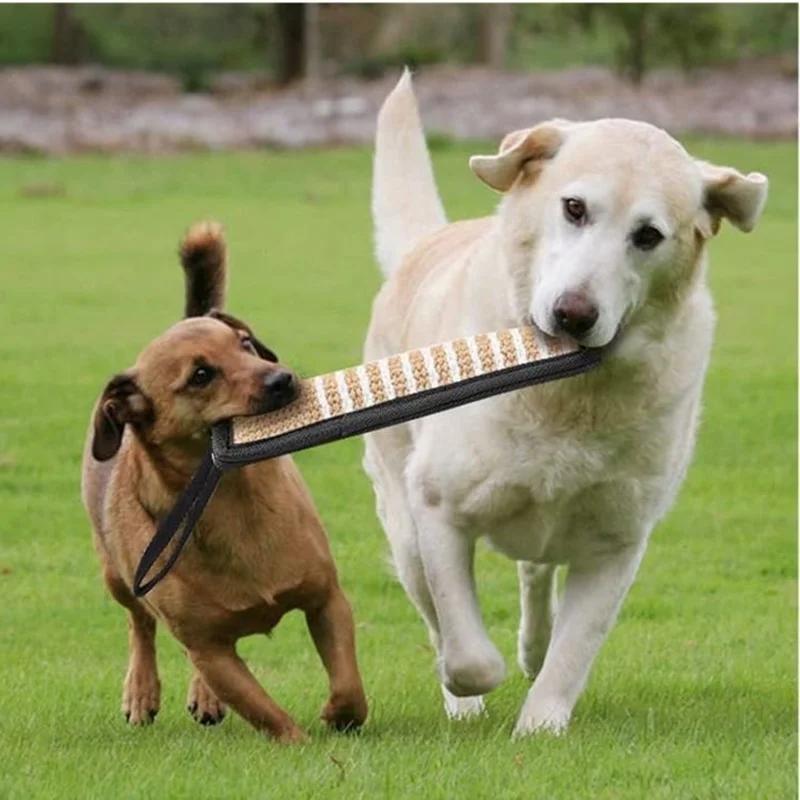 Pernă de dresaj durabilă pentru câini, cu 2 mânere din frânghie, pentru dresajul câinilor de talie medie și mare, consumabile pentru animale de companie