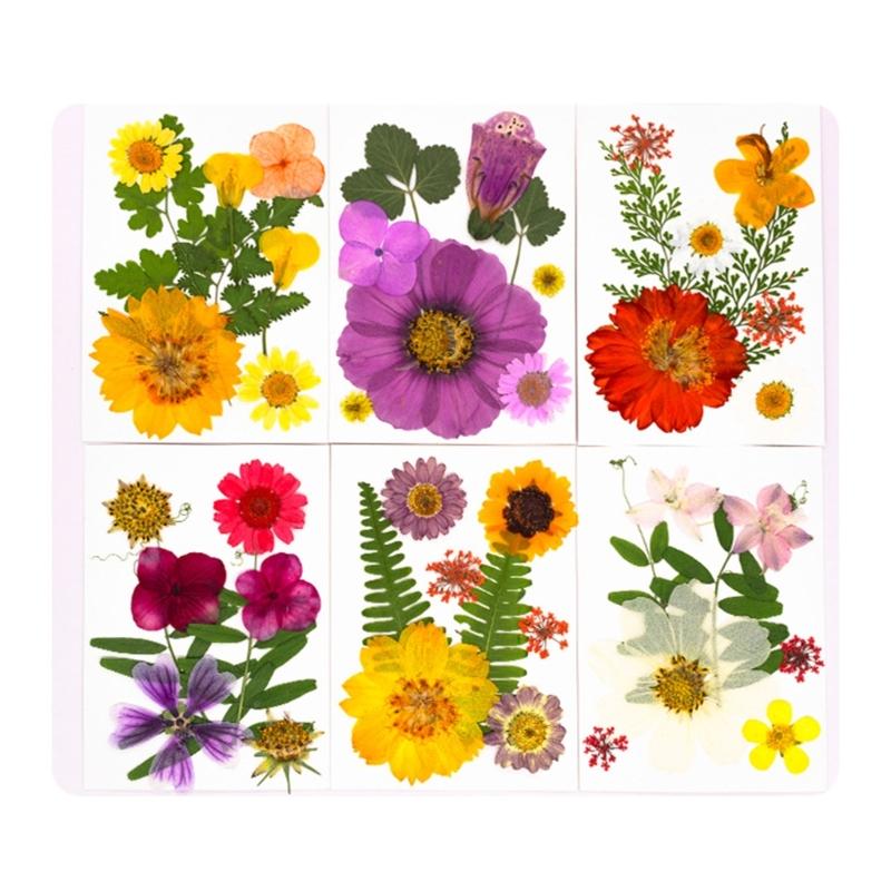 32Pcs Realistic Flower Pressed Florals Kits 4 Pack Natural Florals Craft Supplies For Resin Decorations And Gifts