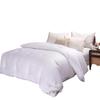 Yiyi'ai Thickened Warm Milk Velvet Duvet Insert