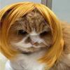 Colorful Dog Hairpiece Funny Dog Headwear Universal Cat Cosplay Wig  Pet Show