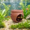 Pești și animale marine – Decorul acvariului