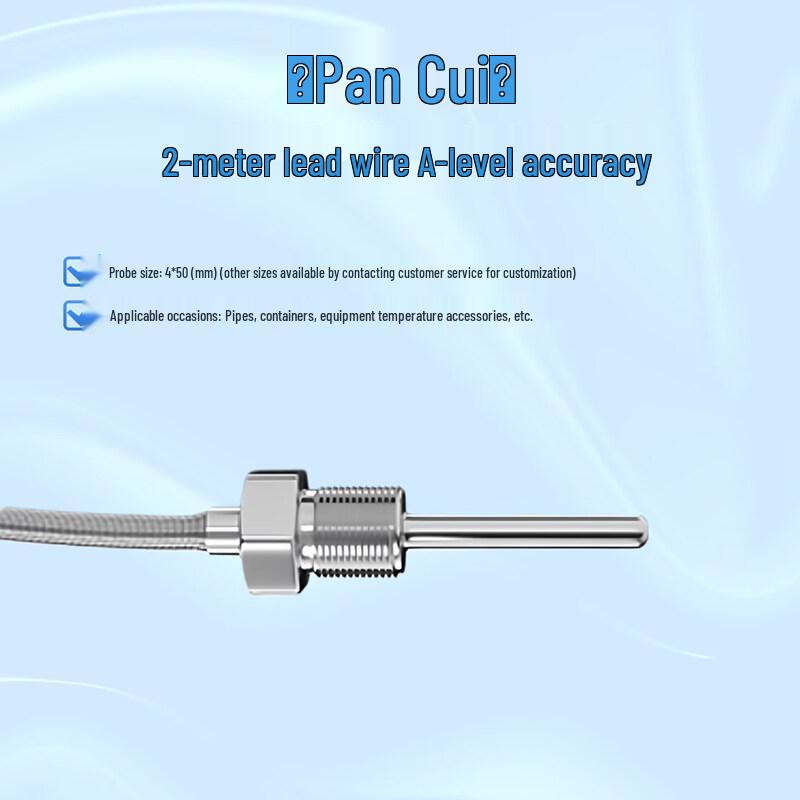 

Platinum Resistance Temperature Sensor