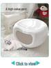 Portable Plastic Pet Carrier for Small/Medium Pets - Detachable Airline-Approved Transport Box