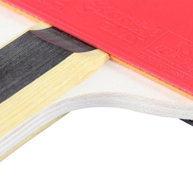 DHS H1002 1-Star Training Shakehand Table Tennis Racket