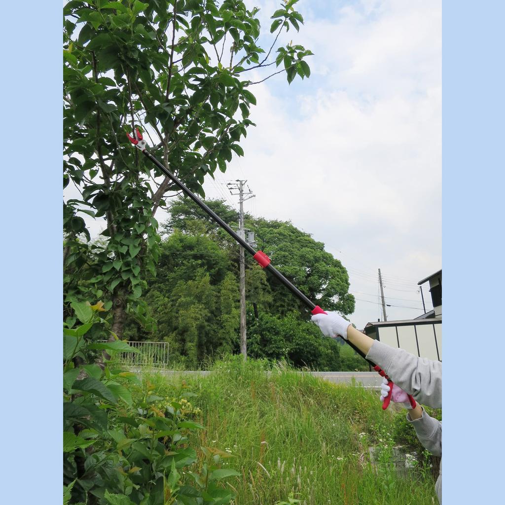 DAISHIN Telescopic Pruning Mini Total Length () Ultra-lightweight 4-stage High-branch Shears, Red, Fit, 92-142cm