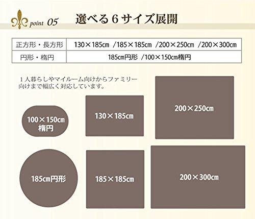 IKEHIKO Rug, 4-Tatami Size, Solid Shaggy Texture, Available In Large Orange, Approx. 200 X 300 Cm, Compatible with Heated Carpets, #3952239