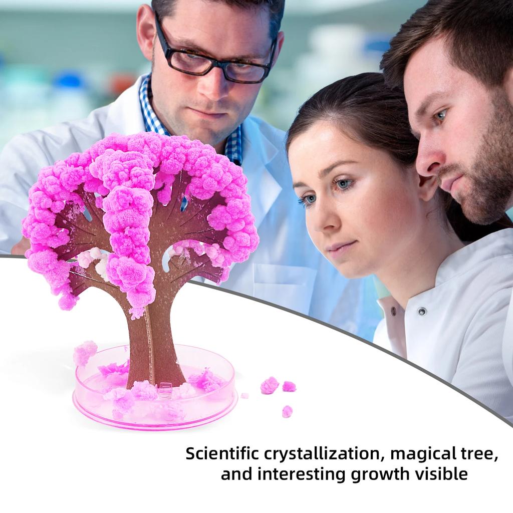 Paper Tree Blossoming Toy Magic of Snowflake Blossoming, Watering Crystal Tree Scientific Experiment Personally Witnessing