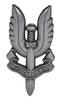 SAS British Special Air Service Pin Badge, Chest Badge, Butterfly Clutch, Alloy