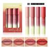 4-color Matte Lipstick Set Velvet Long Lasting Color Lip Gloss Waterproof Non-smudge Non-sticky Swirl Lipstick Pencil