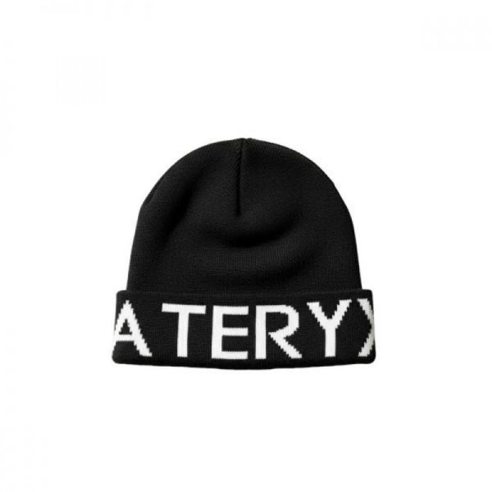 Шапка Arc Teryx Word Head Toque Aepfu07590orc ORCA/Single size (around 55 to 60)