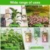 10Pcs Plant Supports Stakes Frog Decoration Clip Plastic Flower Stand Sticks Gardening Bonsai Fixing Tool Climbing Plants Holder