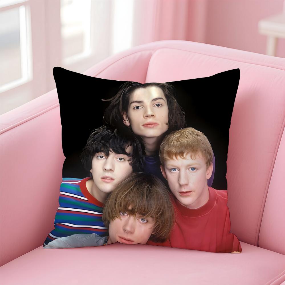 BBlur Cushion Cover Pillow Case Soft Friendly Fabric Concealed Zipper