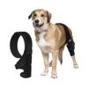Podpora na psiu nohu Rukáv Pet Kolenná rehabilitačná ortéza Neoprén Celoročná Čierna XS S M L