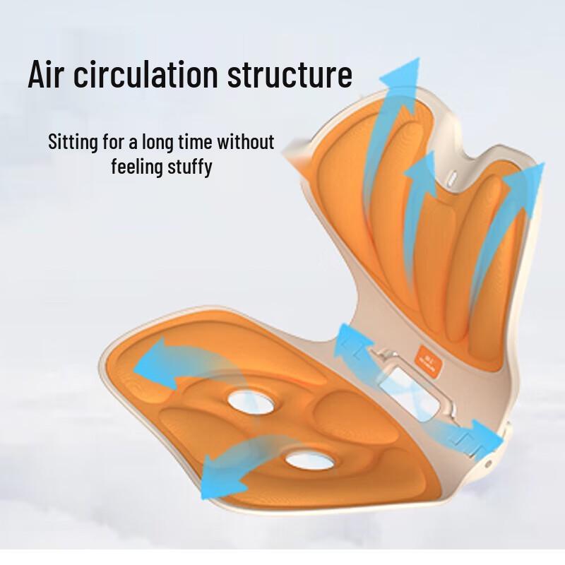 HEZHENG Ergonomic Lumbar Support Cushion CN plug (adapter included)