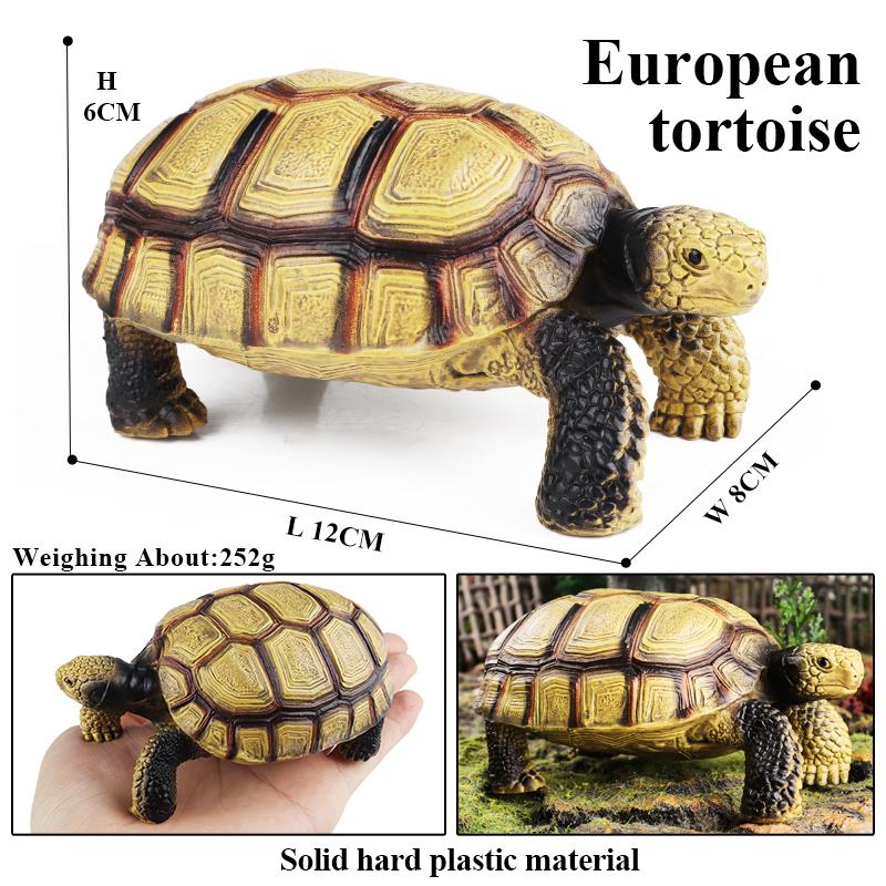 Oenux Sea Life Animals Model Leatherback Tortoise Turtle Growth Cycle Ocean Figurines Action Figures PVC Collection Kid Toy Gift