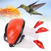 Wearable Hummingbird Feeder Plastic Clear Vision Portable Bird Feeder Helmet for Outdoor