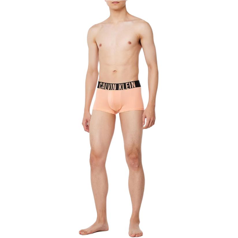 Calvin Klein Letter Print Minimalist Low Rise Briefs 3 Pack Men Underwear NB3611-VVM