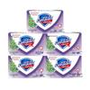 Safeguard Mugwort Herbal Cleansing Soap