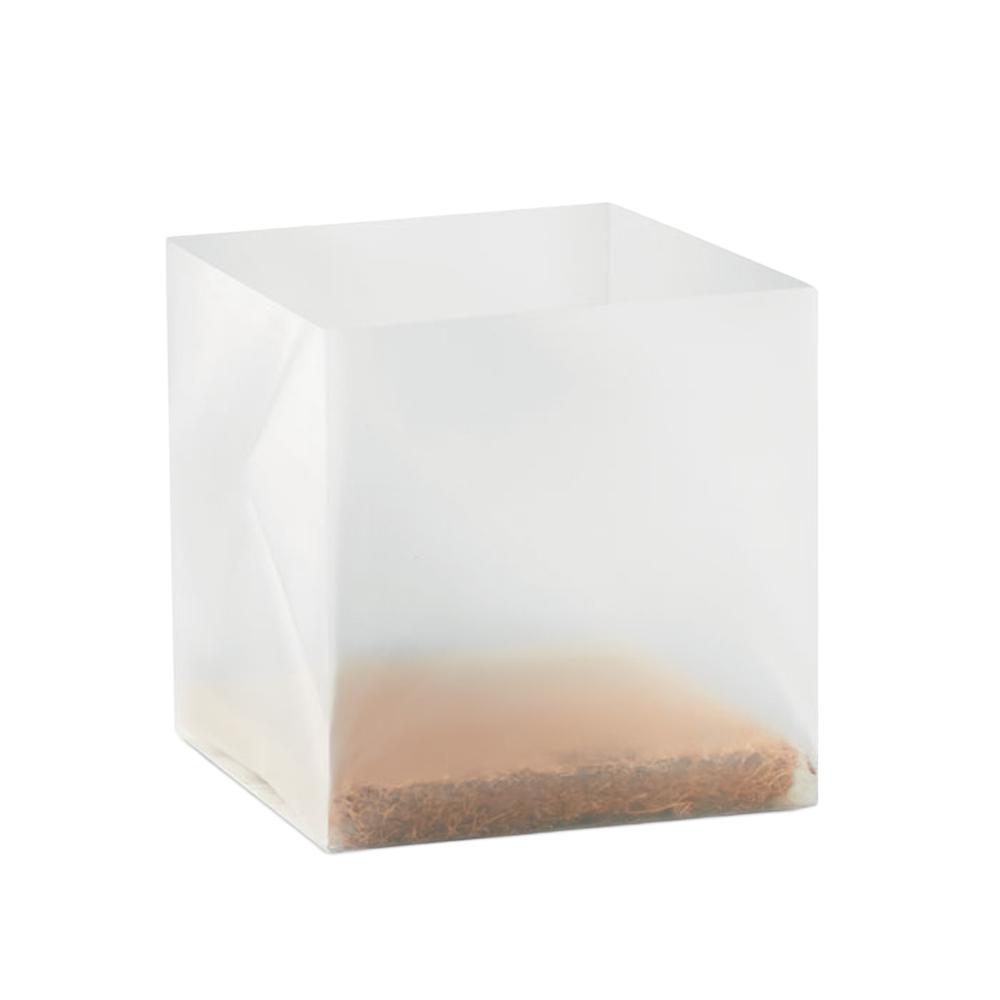 MidOcean Basil Basil Seeds