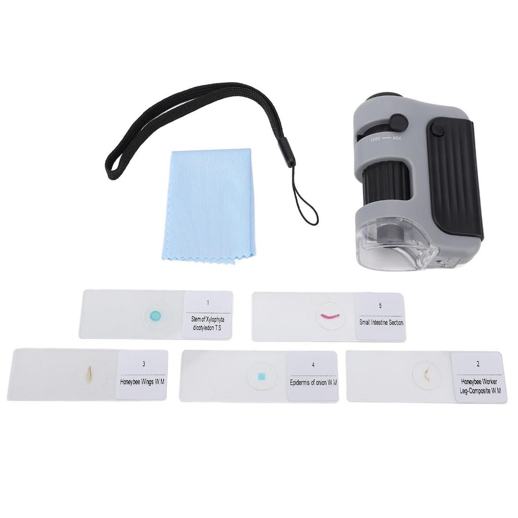 Dzieci Ręczny Mikroskop Przenośny Studencki Miniaturowy Mikroskop Kieszonkowy do Obserwacji