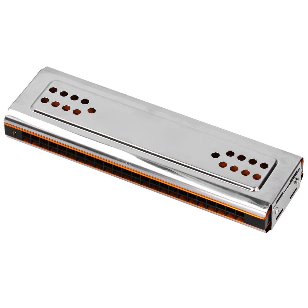 Tremolo Harmonica 24 Holes C&G Key DoubleSide with Box Musical Instrument for Beginner