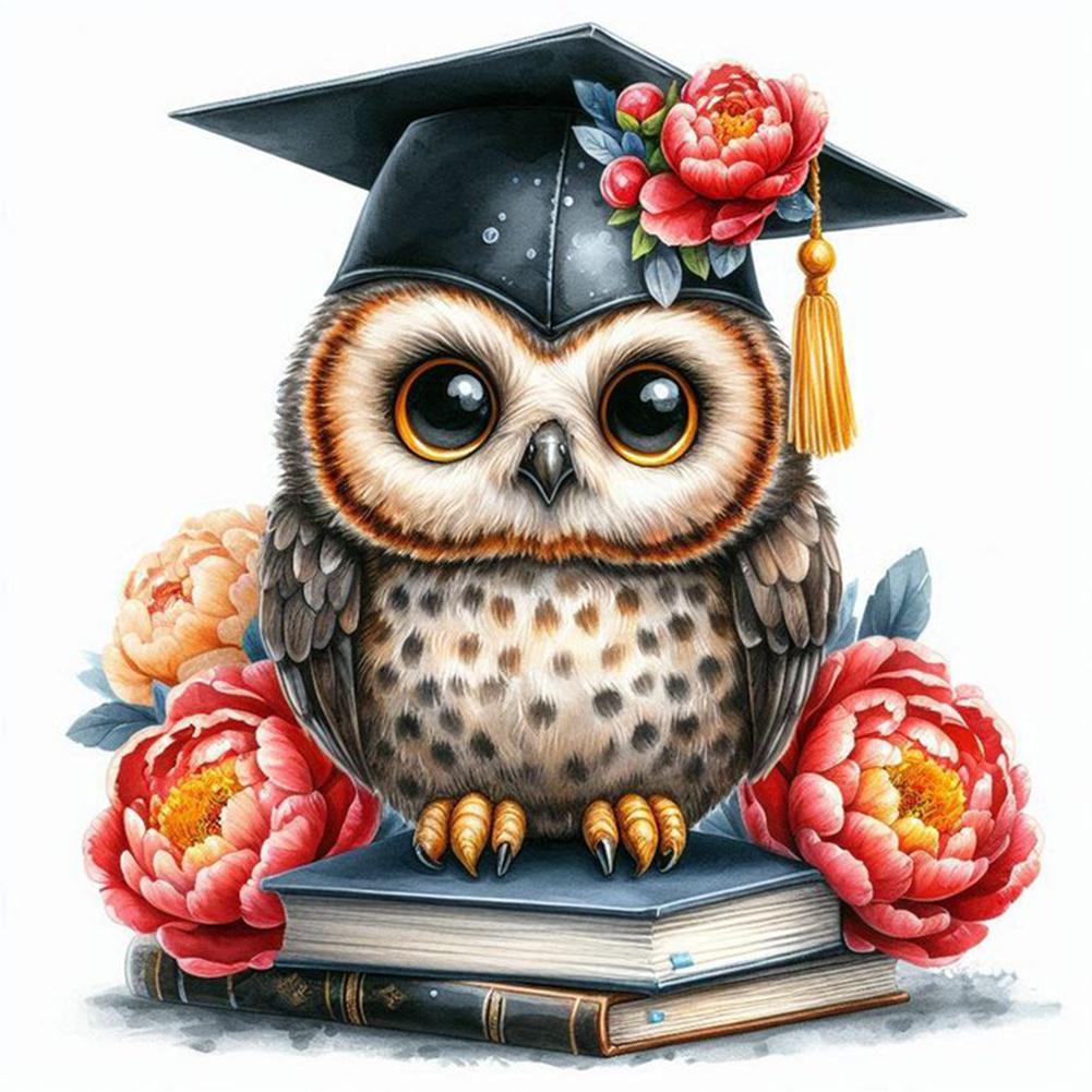 

1pc DIY Paint by Number Kit Owl Frameless Canvas Wall Art Gift Idea 20x20cm
