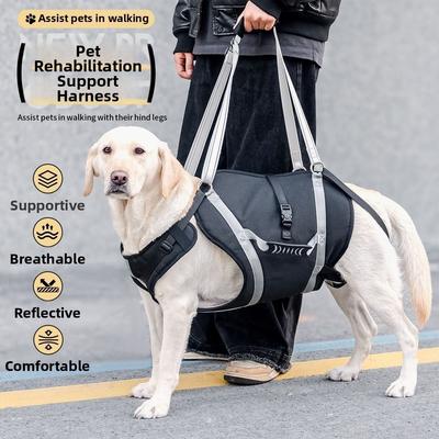 Honden – Halsbanden en hondenriemen