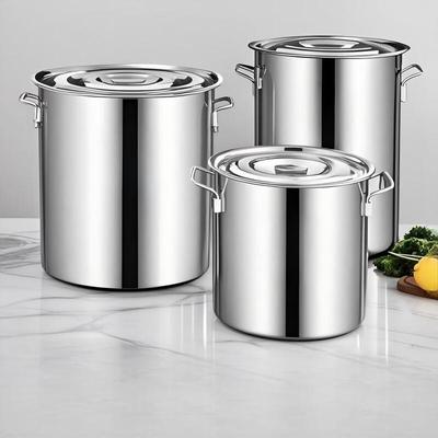 ZISIZ Edelstahl Kochtopf für Gewerbe & Haushalt mit Deckel
