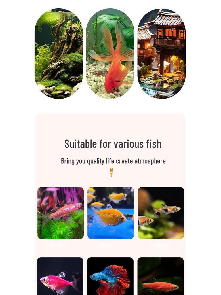 Starry 2025 Akwarium Szklane All-in-One z Filtrem Dno do Aquascapingu