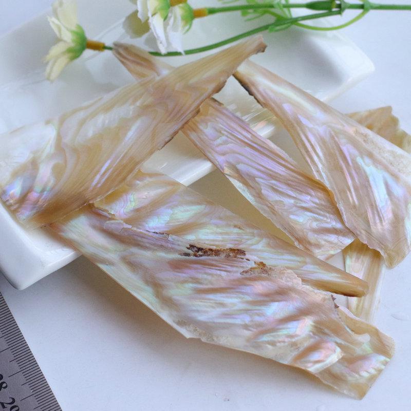 Iridescent Abalone Shell Inlay: Decorative Lacquer Pieces for Musical Instruments and Nail Art.