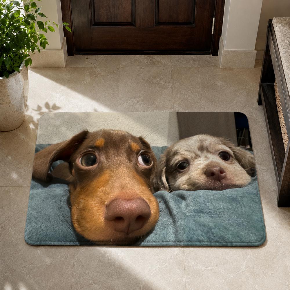 Kwaii Cute Dog Floor Mat Flannel Rug Non Slip Absorbent Soft Washable For Entryway Hallway Bathroom Kitchen Decor